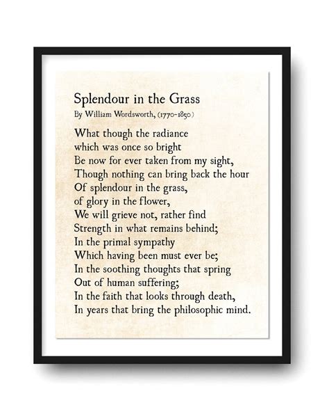 poem splendor in the grass meaning